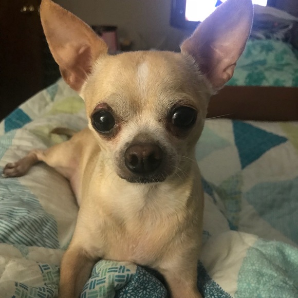 Meet your Posher, Lisa - Picture 3 of 13